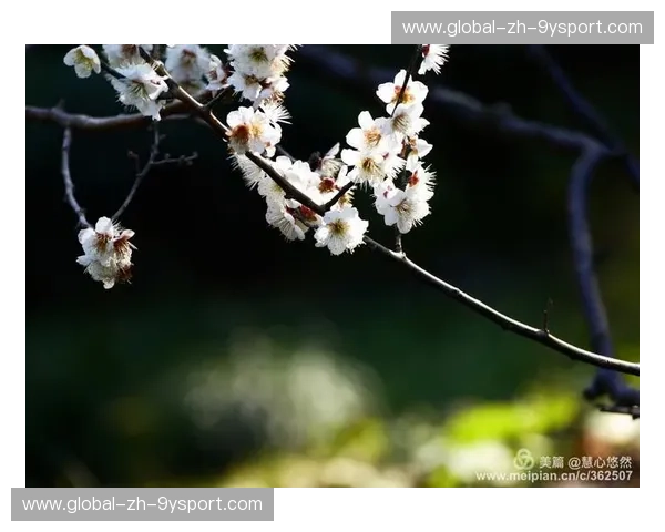 跨越海峡的绿茵回响：当“中国红”遇见“香港红”，不只是胜负的九十分钟